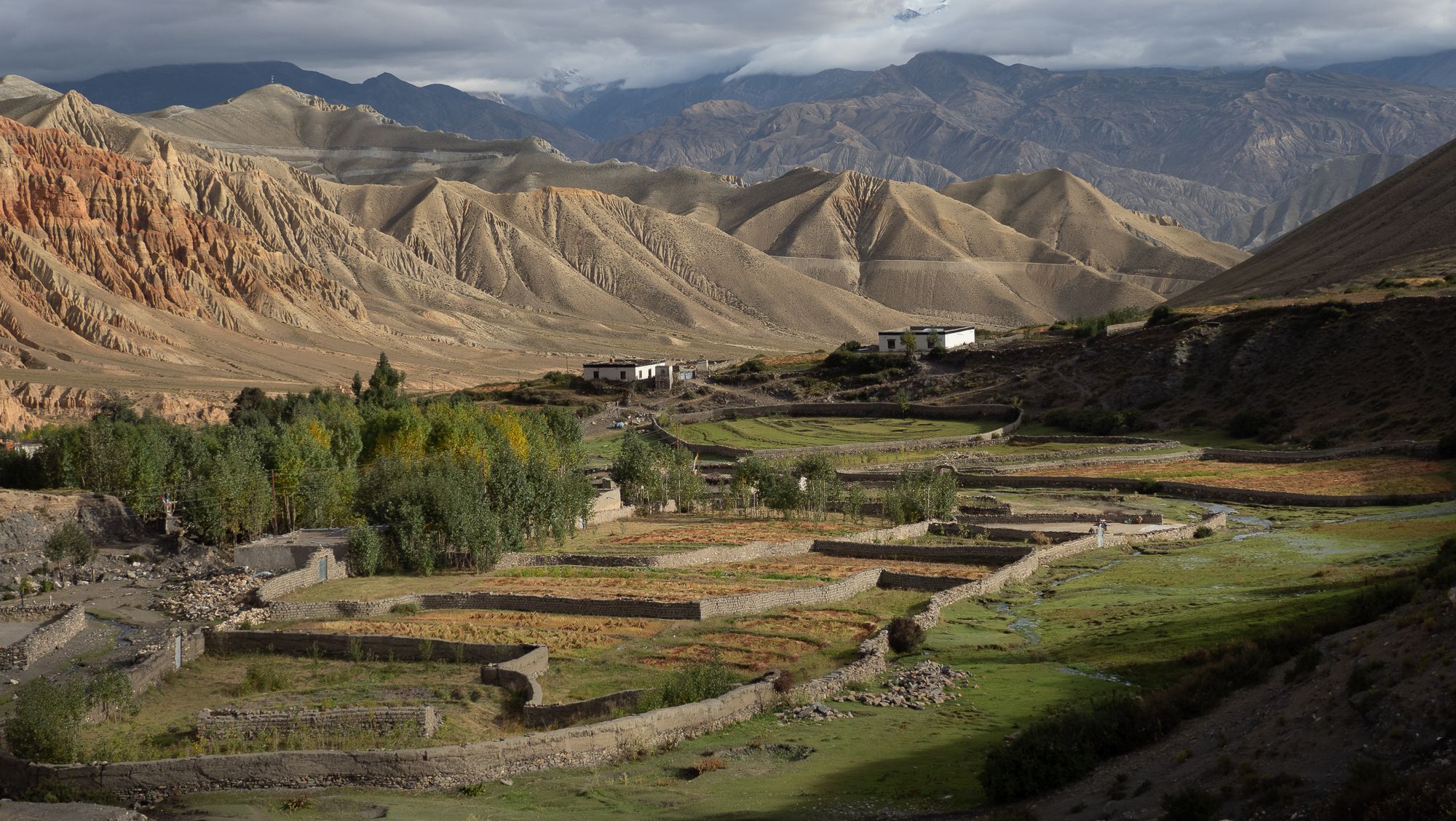 Around Dhakmar, Nepal
