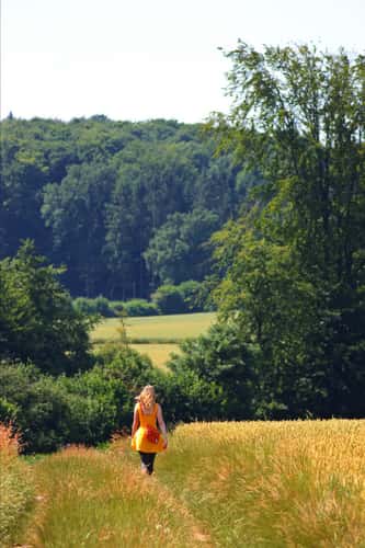 On the way to the Baumberge