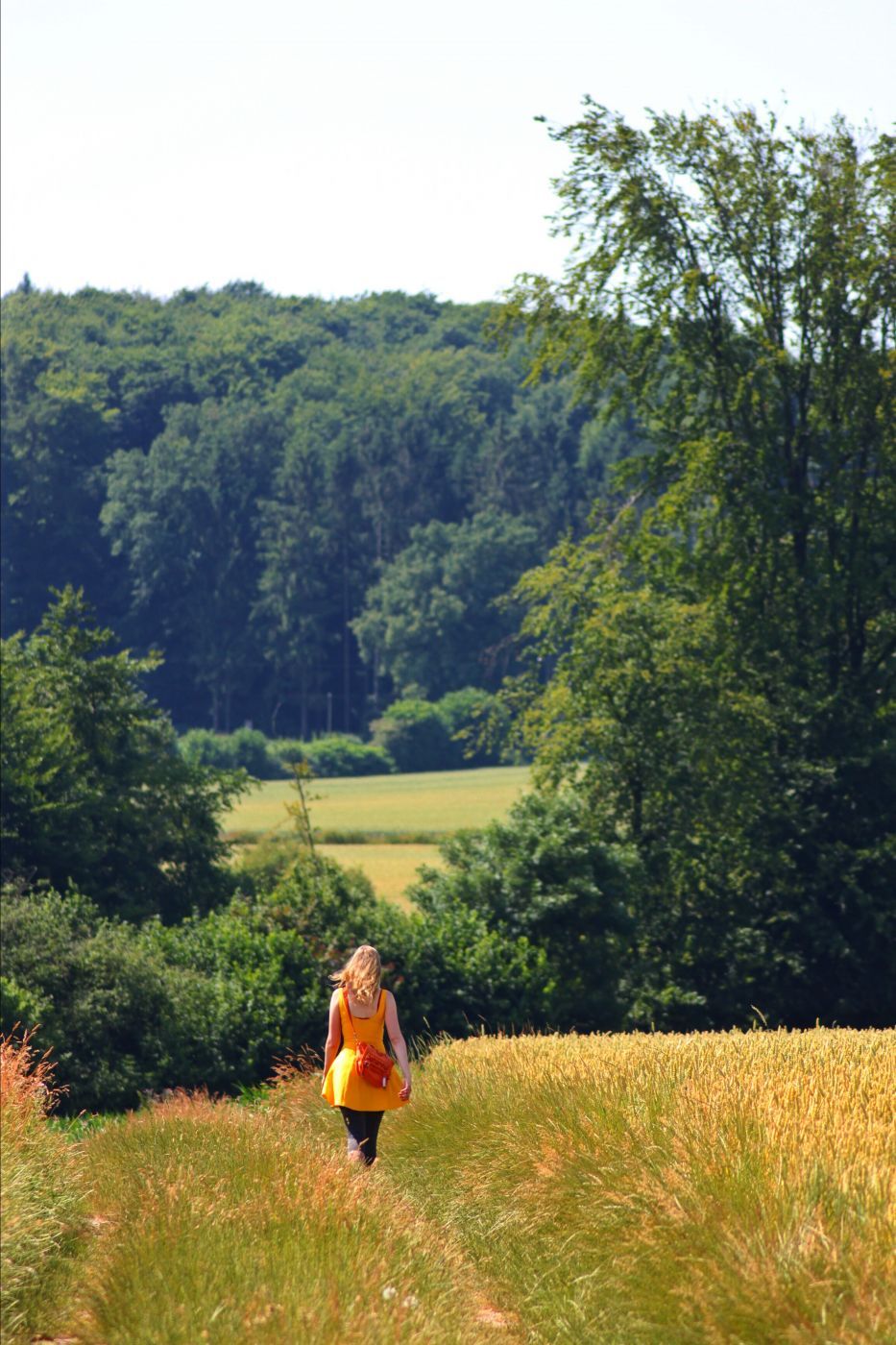 On the way to the Baumberge, Germany