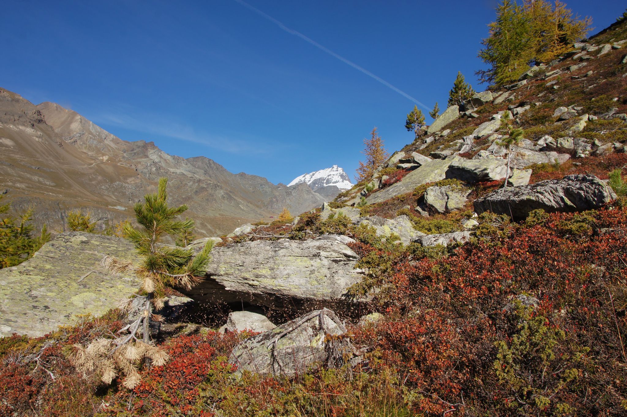 Autumn colours, Switzerland