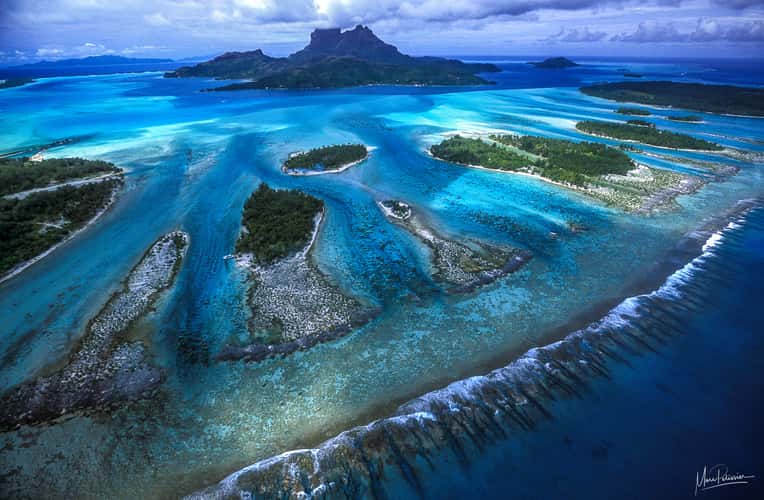 Barrier reef teeth