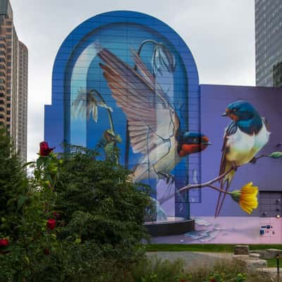 Bird Mural in Boston Greenway, USA