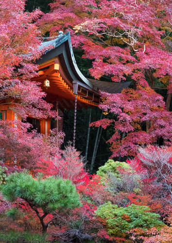 Bishamon-do