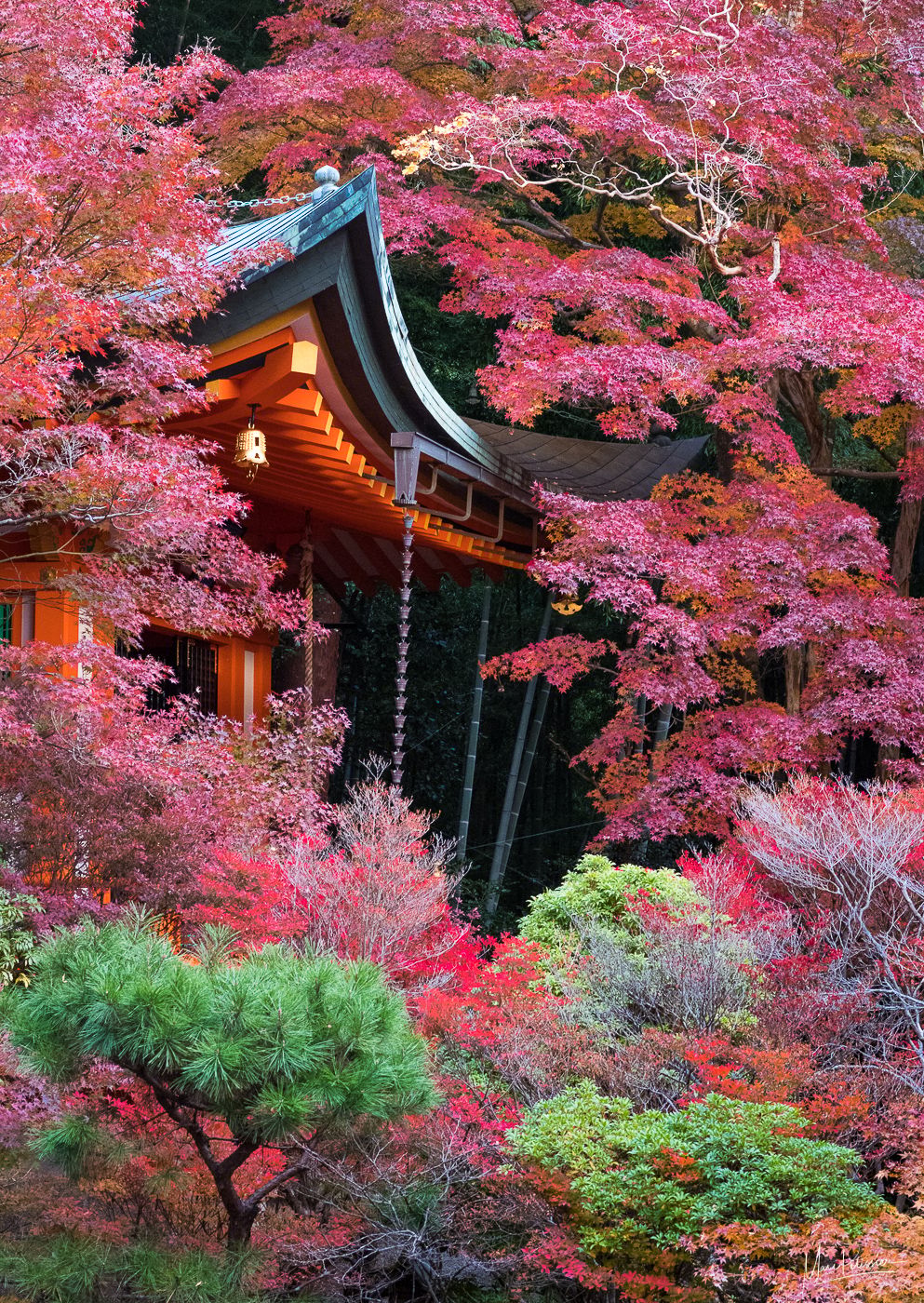 Bishamon-do, Japan