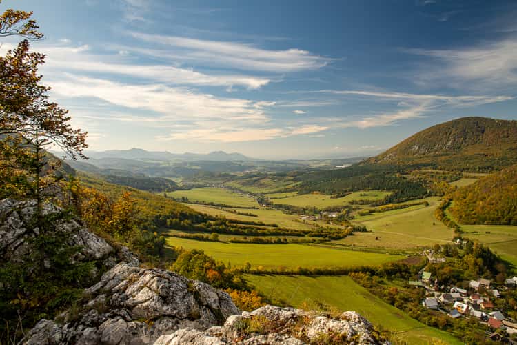 Bosmany view