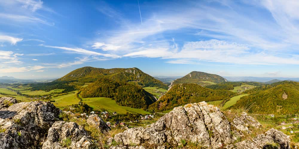 Bosmany view