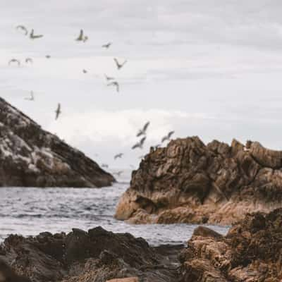 Bow Fiddle Rock Beach, United Kingdom