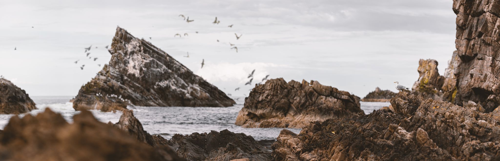 Bow Fiddle Rock Beach, United Kingdom