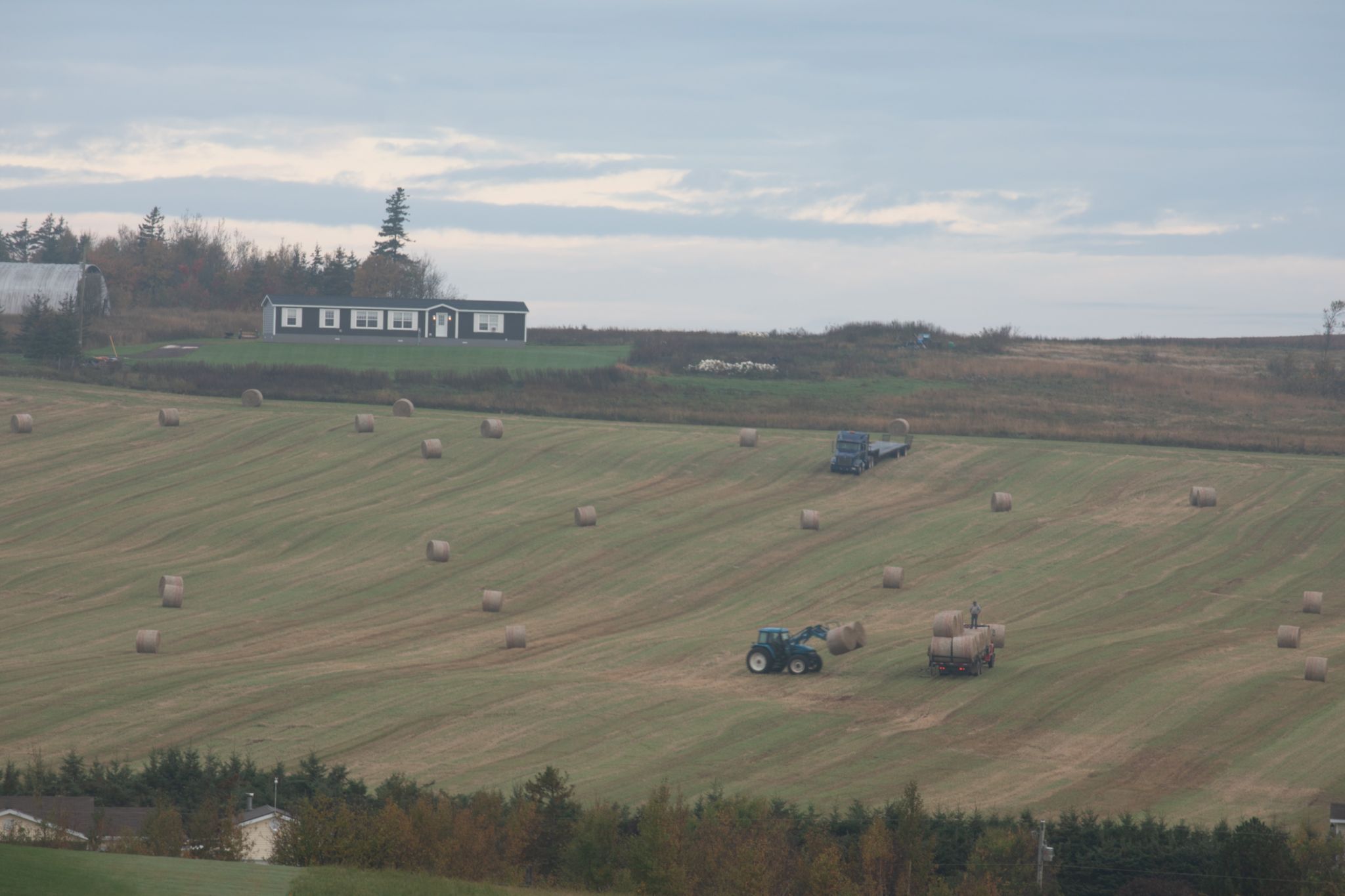 Bring in the hay, French River, Prince Edward Island, Canada