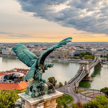 Budapest cityscape with turul bird, Hungary