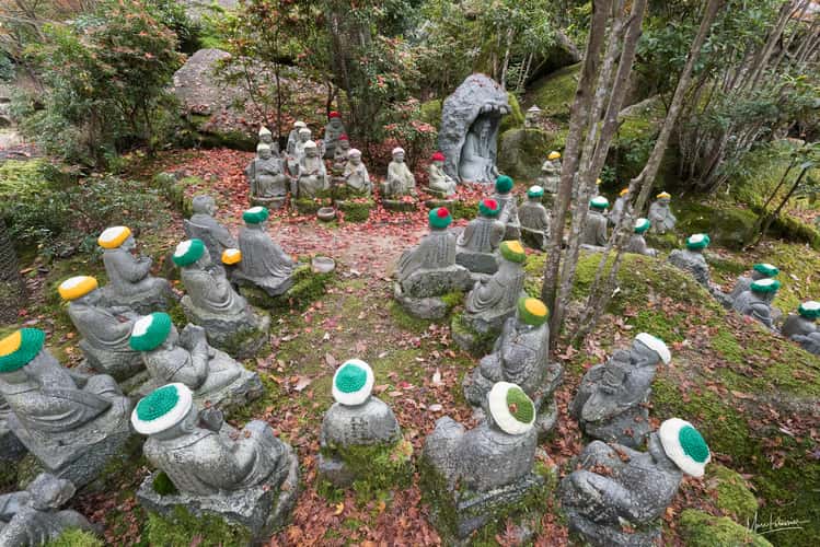 Buddha everywhere