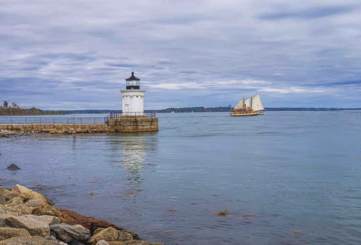 Bug Light