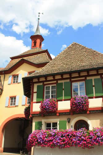 Burkheim
