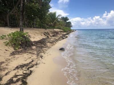 Camp Bay Beach, Roatan, Honduras