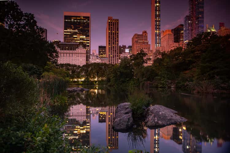 Central Park Reflections sunrise