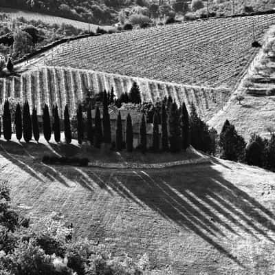 Chianti vineyard valley, Italy