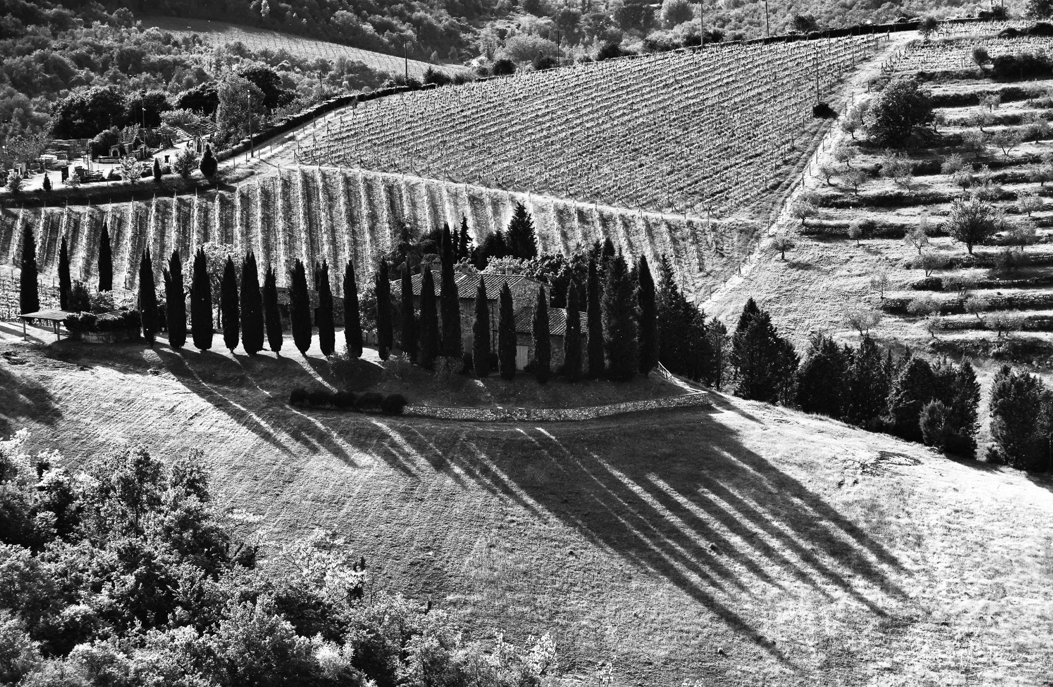 Chianti vineyard valley, Italy