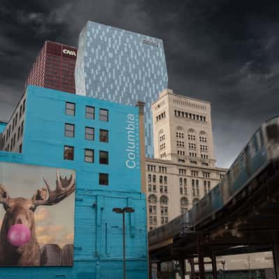 Chicago Moose, USA