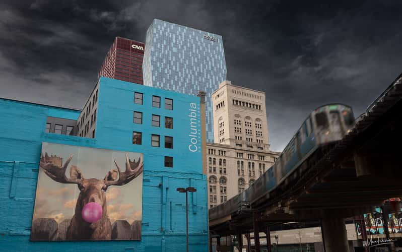 Chicago Moose