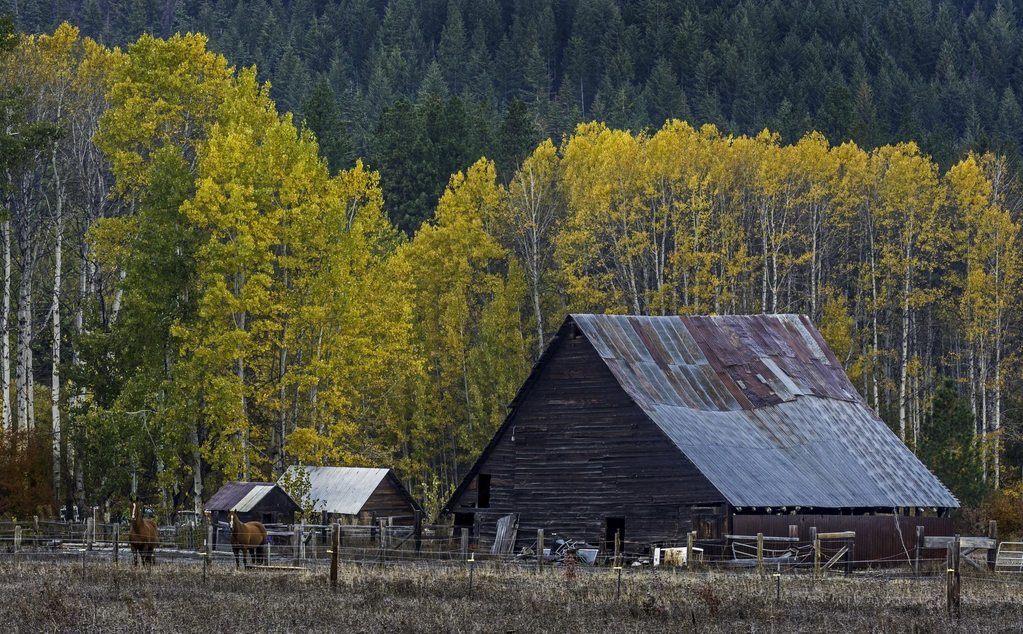 Chiwaukum Barn, USA
