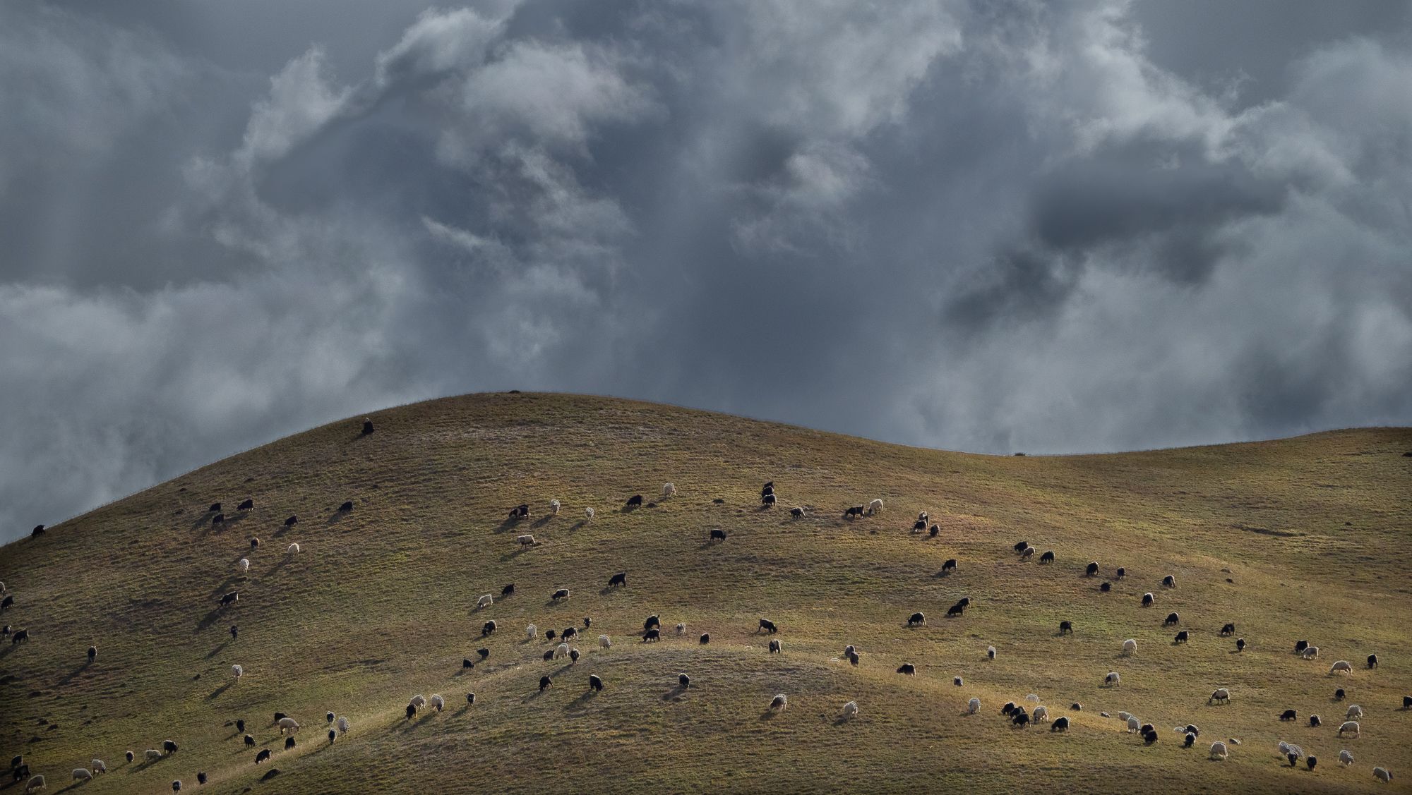Choser, Nepal