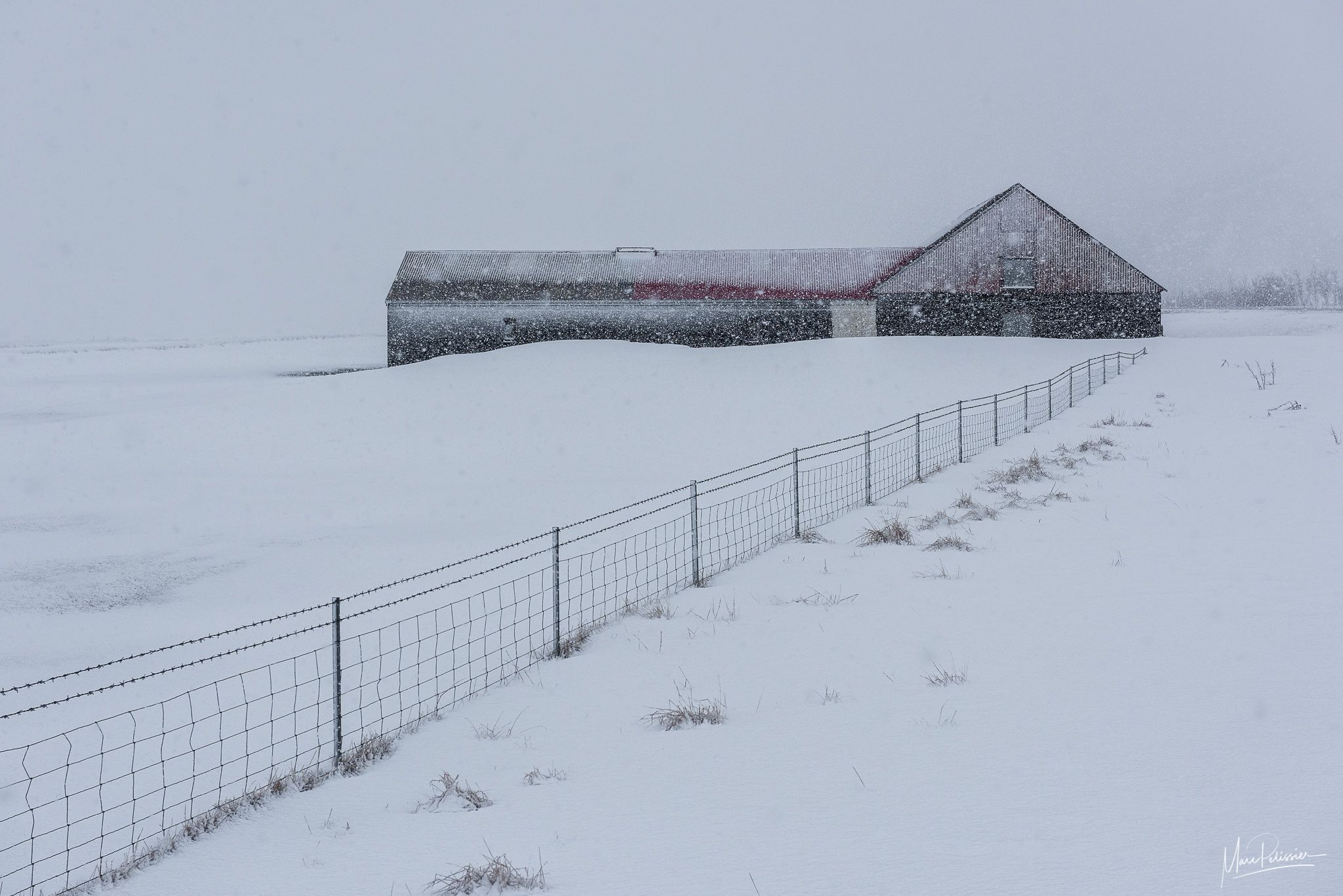 Colored farm, Iceland