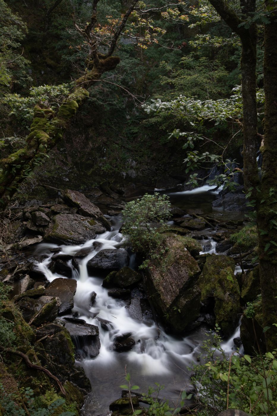 Devil's Bridge Waterfalls Ceredigion, Wales, United Kingdom