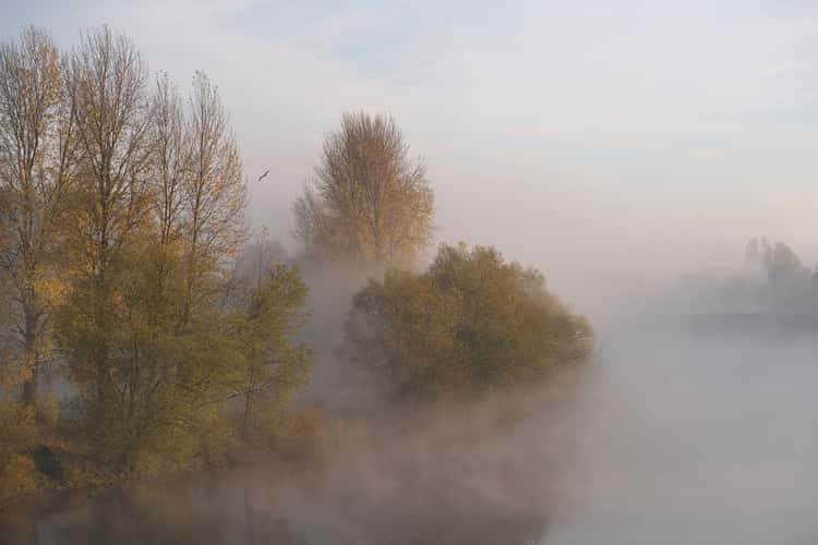 Die Ruhr bei Witten