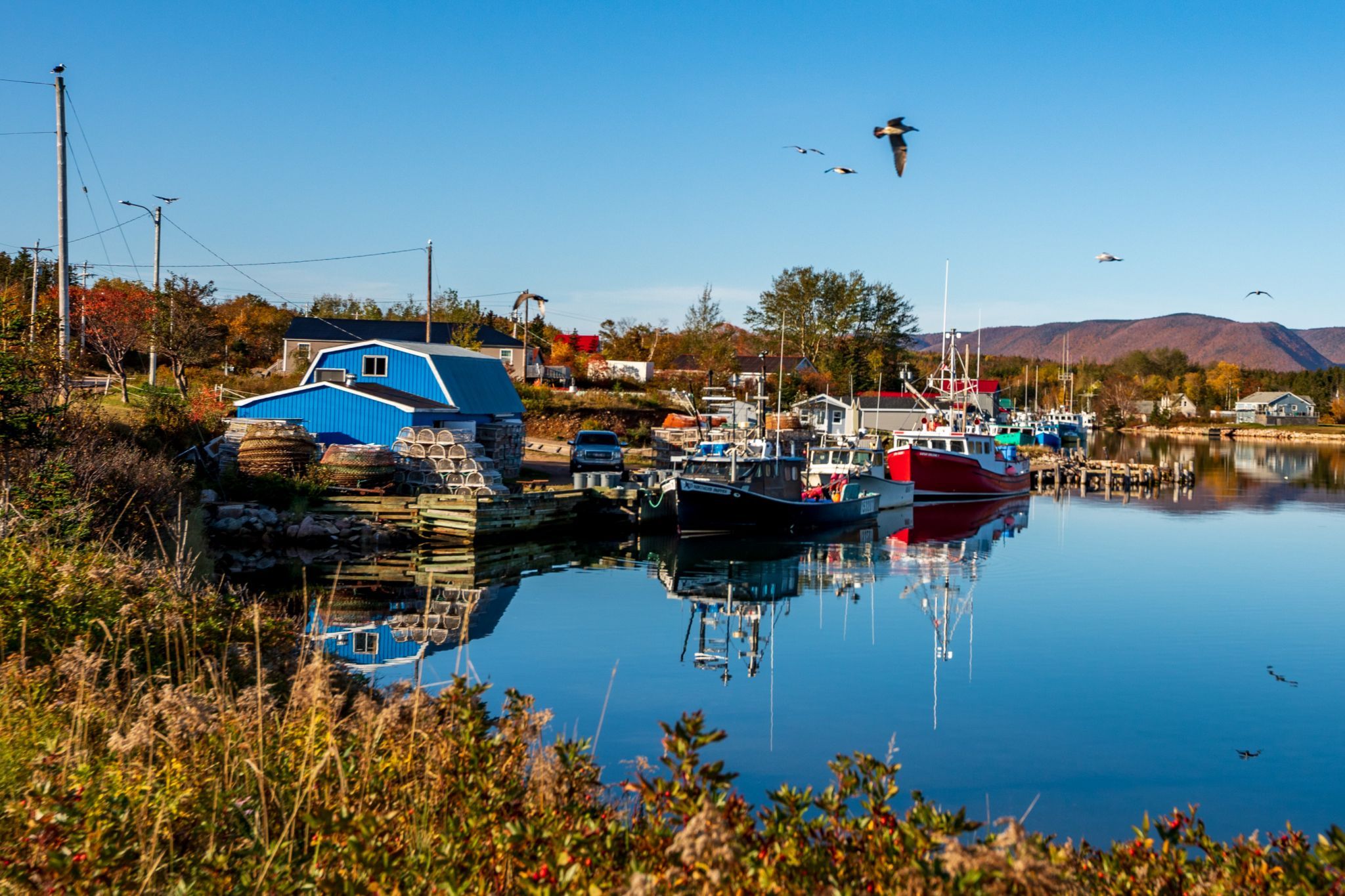 Dingwall fishing Boats Cape Breton Nova Scotia, Canada