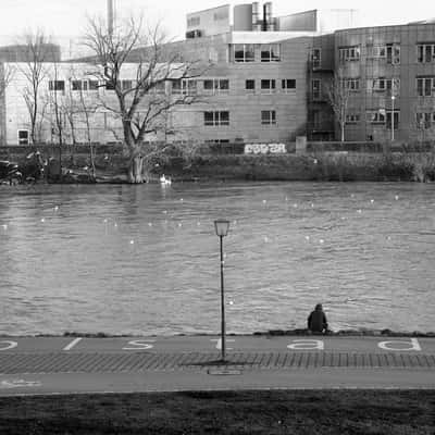 Donauufer, Germany