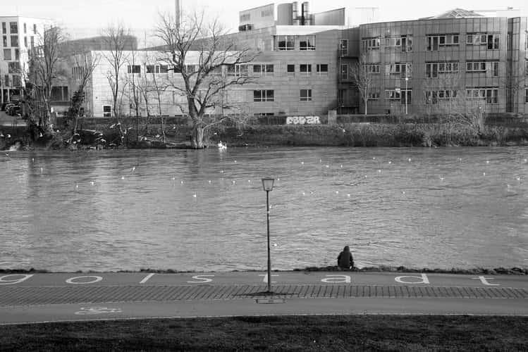 Donauufer