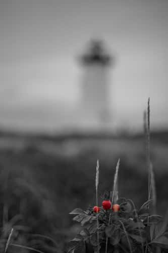 Egdartown Martha's Vineyard Island Lighthouse sunrise