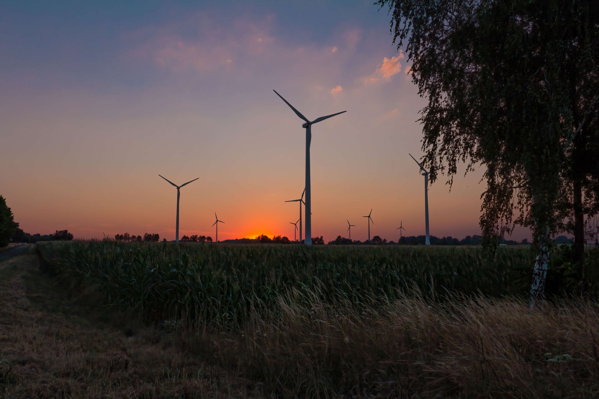 Field near Nienburg, Germany