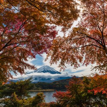 Fuji (Fall) Color, Japan