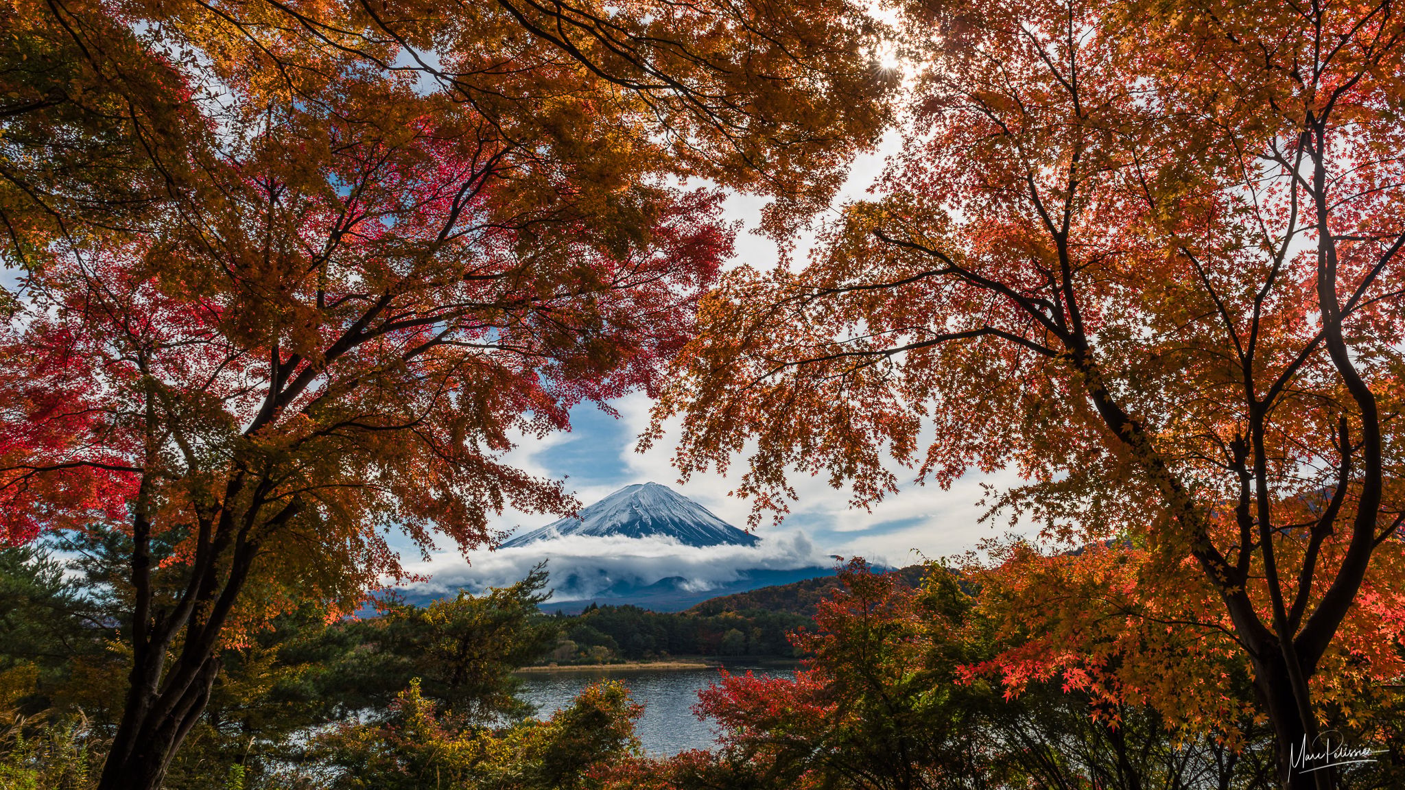 Fuji (Fall) Color, Japan