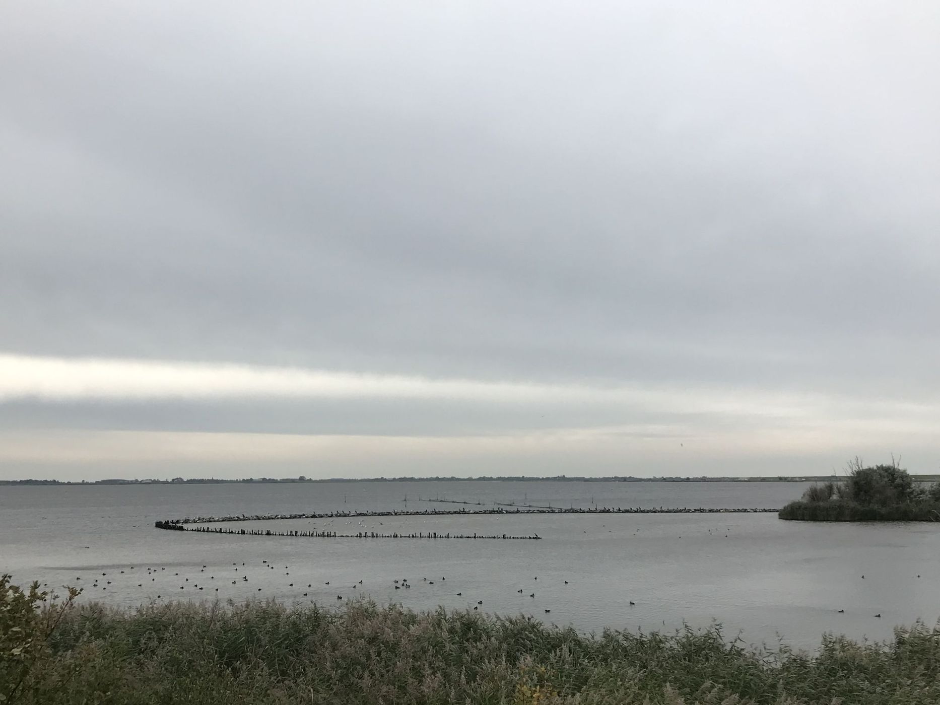 Gerbrandywei - Lauwersoog, Netherlands