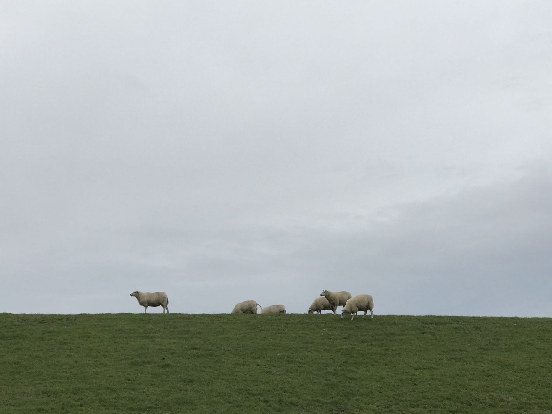 Gerbrandywei, Netherlands