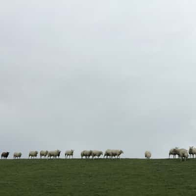 Gerbrandywei, Netherlands