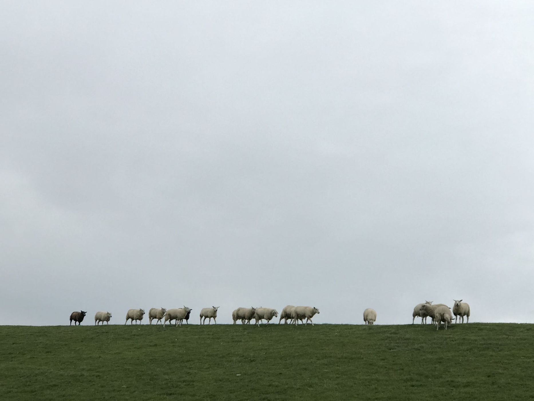 Gerbrandywei, Netherlands