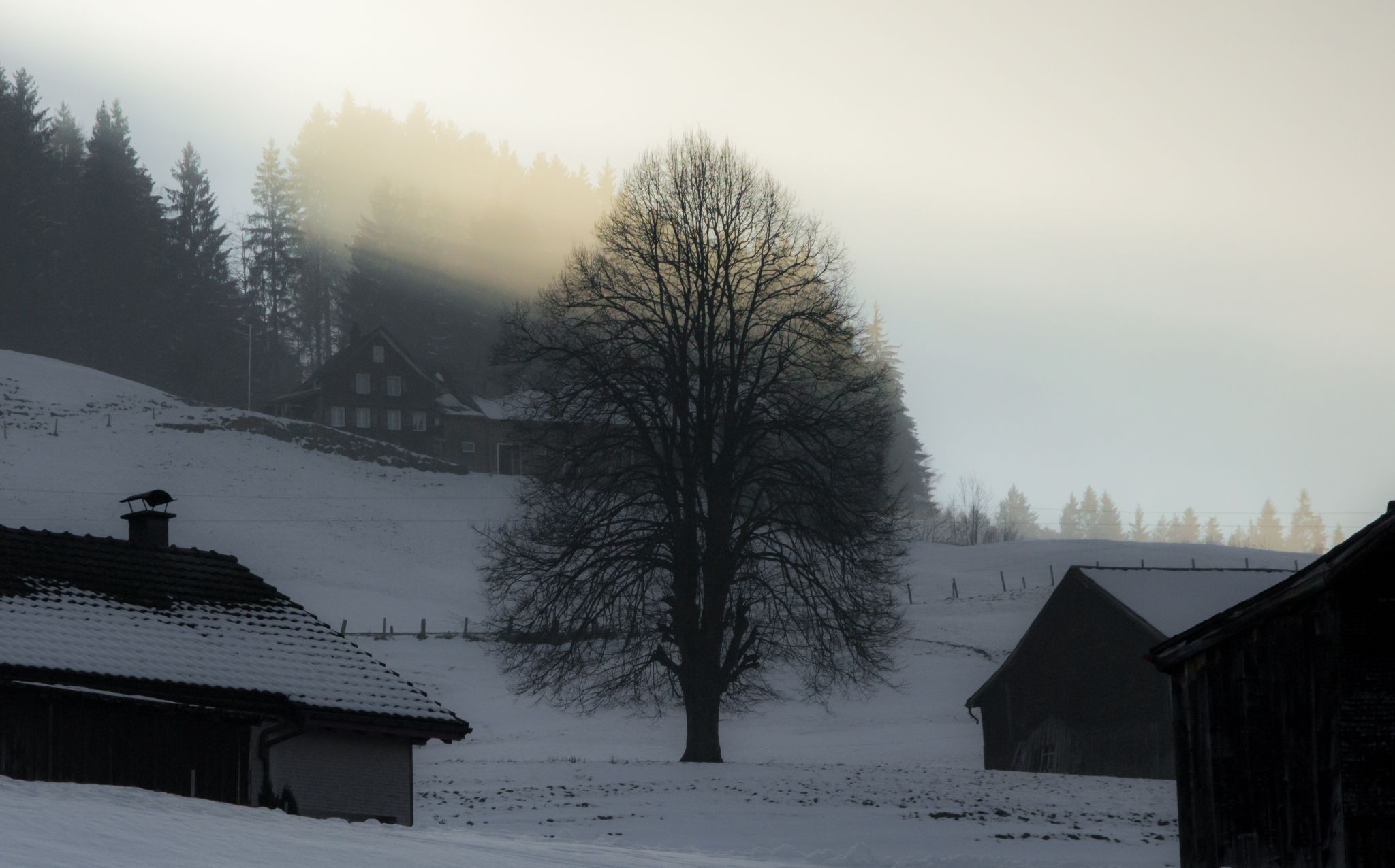 going to sleep, Appenzell, Switzerland