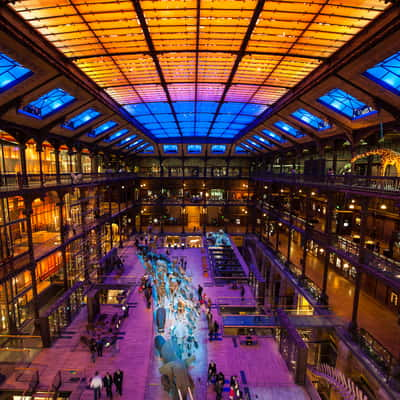 Grande galerie de l'evolution - Paris natural museum, France