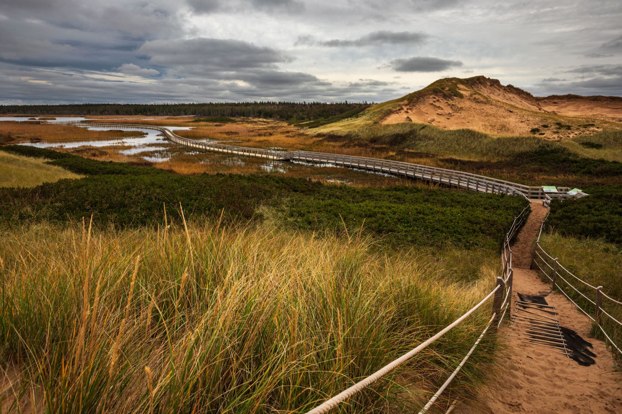 Greenwich Nat Park floating Boardwalk Prince Edward Island, Canada