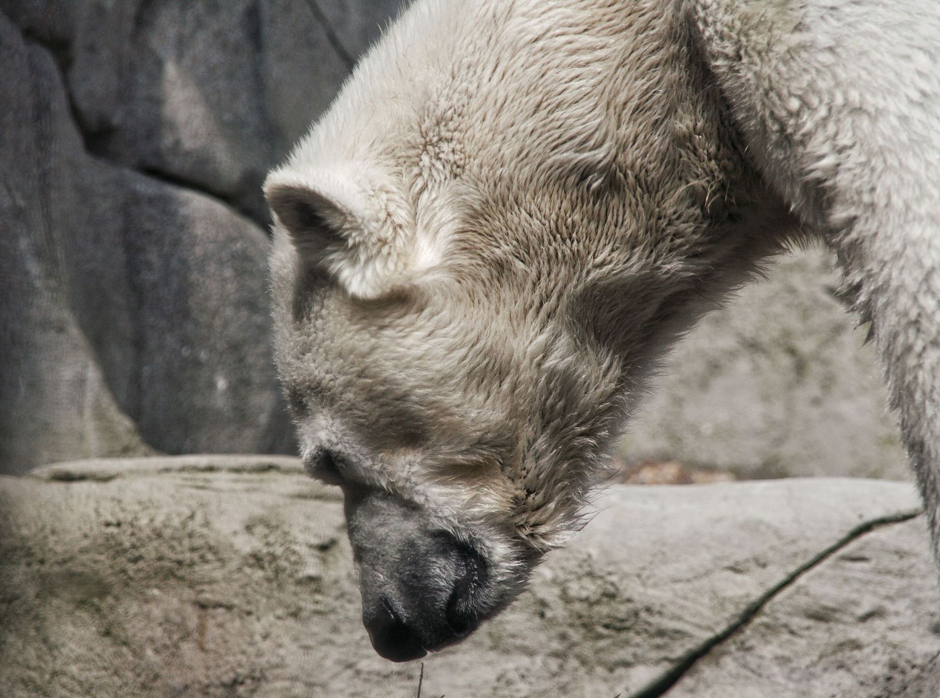 Hagenbecks Tierpark, Germany