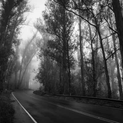 Haleakala Hwy, USA