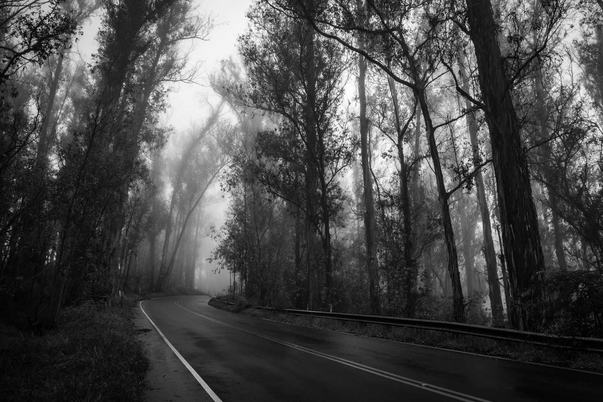 Haleakala Hwy, USA