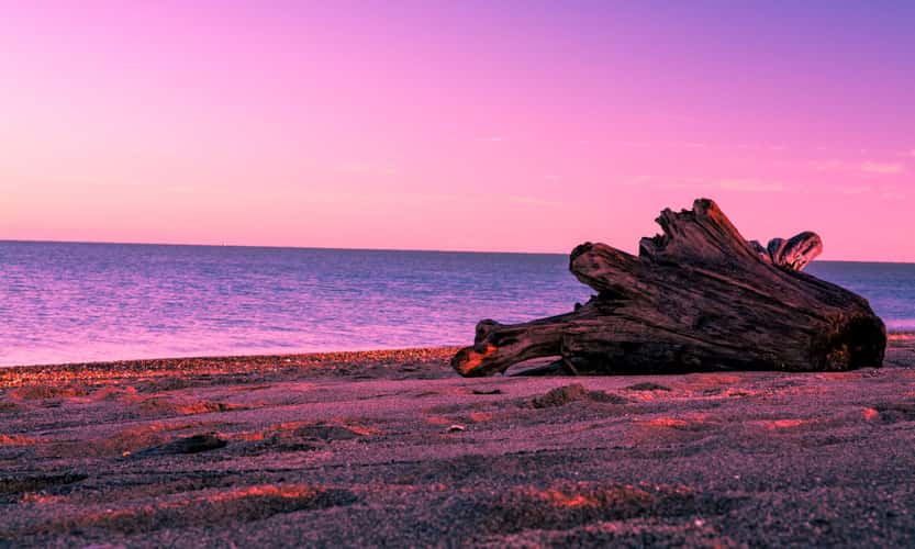 Headlands Beach State Park