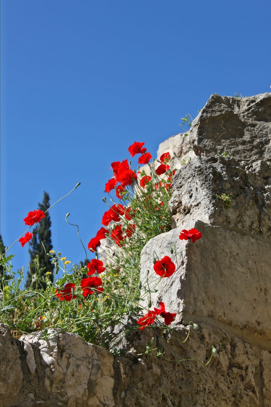 in Jerusalem, Israel