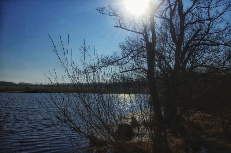 Jungferweiher