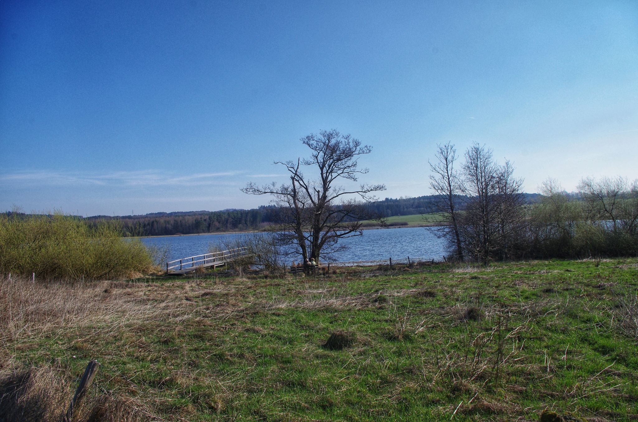 Jungferweiher, Germany