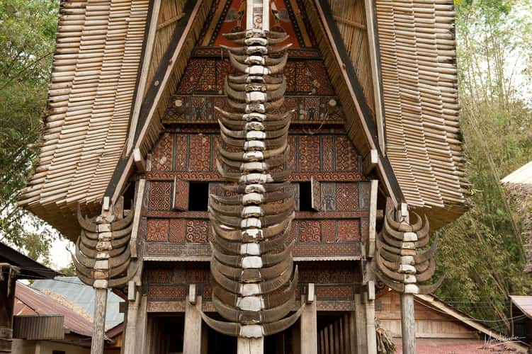 Ke'Te' Kesu Toraja houses